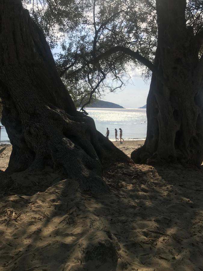 Raphael Skiathos Living-Olga Eksteriør billede